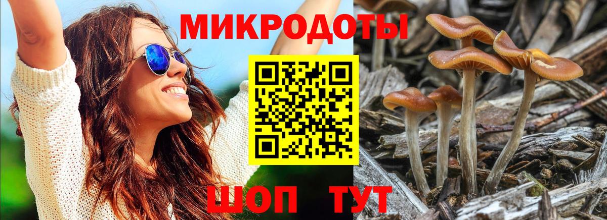 Псилоцибиновые грибы Psilocybe  Галлюциногенные грибы Cubensis  Зеленокумск  Вход с VPN 
