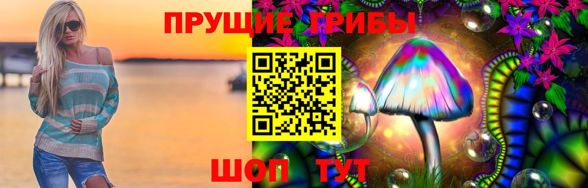 Псилоцибиновые грибы GOLDEN TEACHER Зеленокумск